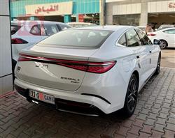 بي واي دي سيل 7